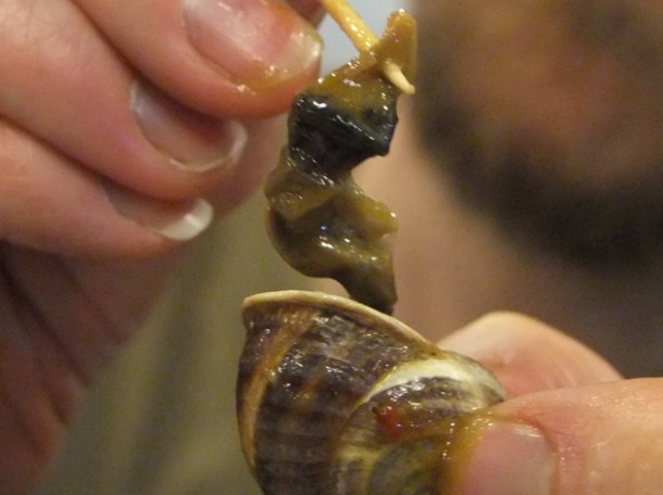 snails at los caracoles