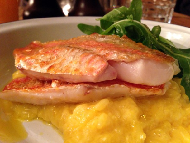 red mullet saffron risotto at pig and butcher islington