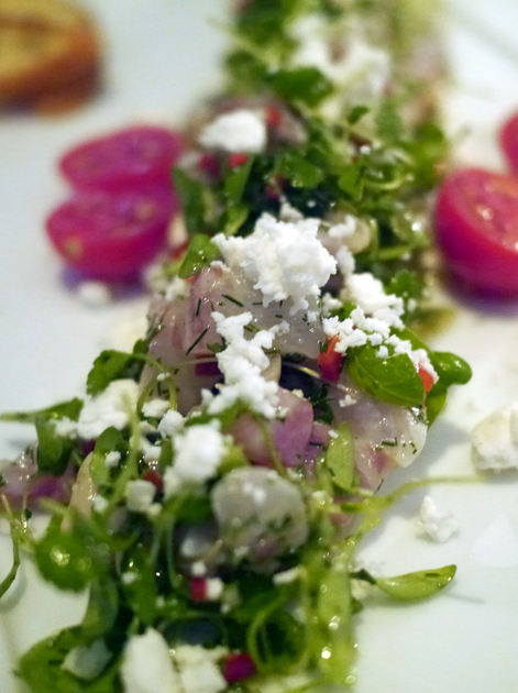 greek ceviche at milos london