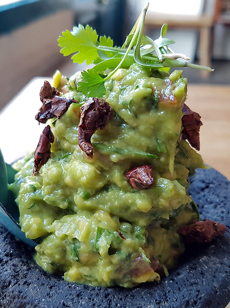 grasshopper guacamole at santo remedio