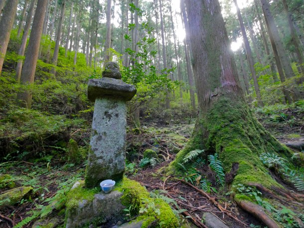 kumano kodo japan hiking forest shrine