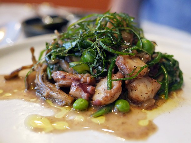 octopus at kyseri kondon