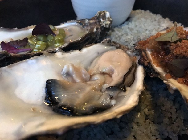oysters at st leonards