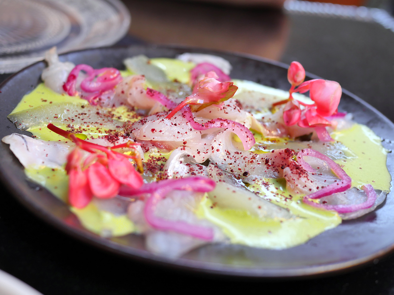 illustrative photo of the ceviche at Bala Baya